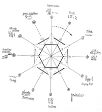 Diagram Rotations